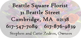 Brattle Square Florist - Call us for your floral needs